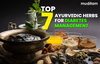 Top 7 Ayurvedic Herbs for Diabetes Management