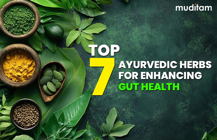 Top 7 Ayurvedic Herbs for Enhancing Gut Health