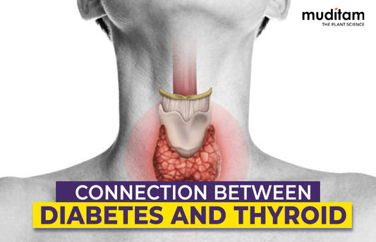 Connection Between Diabetes and Thyroid 