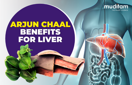 Benefits of Arjun Chaal for Liver Health