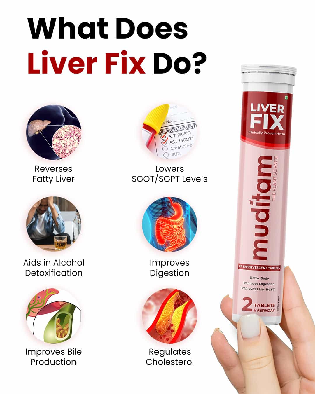 Liver Fix